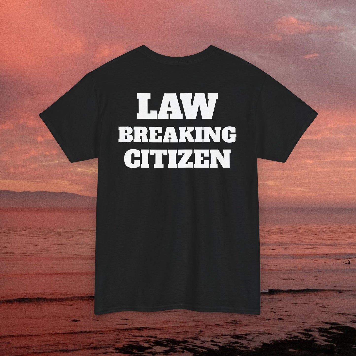 Law Breaking Citizen🥵